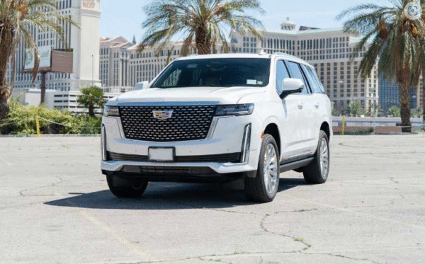 Escalade (White)